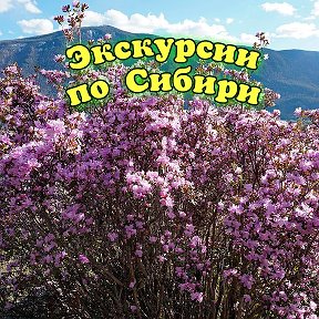 Фотография от Экскурсии по Сибири