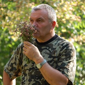 Фотография от Владимир Бородаев