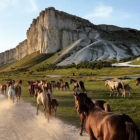 Фотография от Марина Штарк (Добровольская)