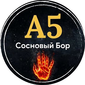 Фотография от Сосновый Бор А5