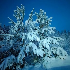 Фотография "Вот она сибирская красота"