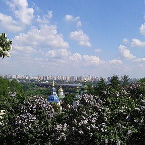 Фотография от Лара Владимирова