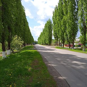 Фотография от Наталия наталия