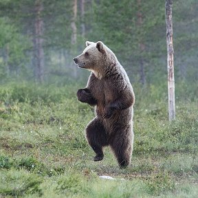 Фотография от Вадим малинин