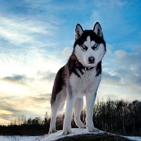 Фотография от Евгений Евгениев