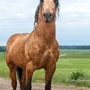 Фотография от салохиддин хотамов