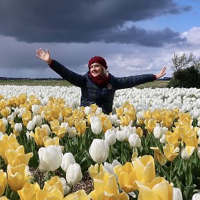 Фотография "И все - таки ни одни цветы не создают такого настроения, как тюльпаны... )"