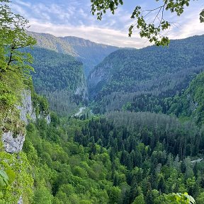 Фотография от ОТДЫХ В АБХАЗИИ ЧАСТНЫЙ СЕКТОР(ЦАНДРИПШ)