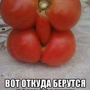 Фотография от Я кон Пид