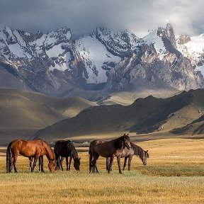 Фотография от Нургуль Шубаева