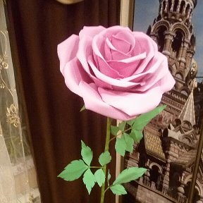Фотография от Ростовые цветы