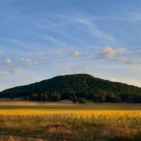 Фотография от надежда лаврентьева