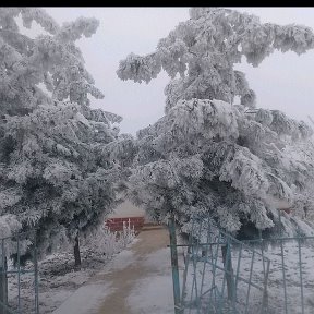 Фотография от Mukhammadi Kurbon