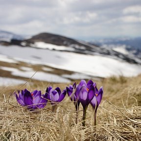 Фотография от Ольга Косенкова