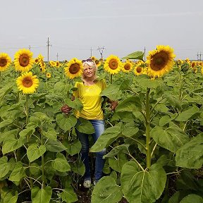 Фотография от Марина Анисимова (Романова)