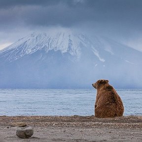 Фотография от валерий тихонов