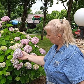 Фотография от Светлана Мастепако (Семенко)