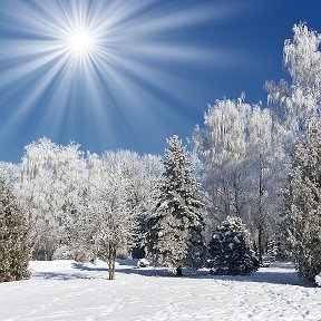 Фотография от СКЦ Мечта Клуб сКурлек