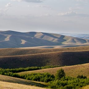 Фотография "Жди меня "