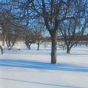 Фотография от Нина Сакевич