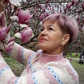 Фотография "Весна пришла, расцвела магнолия Суланжа- чудо природы, Адлер парк "Южные культуры". Всех женщин поздравляю с наступающим международным женским днем 8 Марта!
"