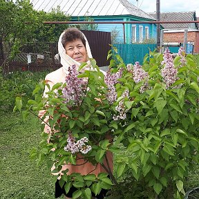 Фотография от Ольга Гоголева (Фомичева)