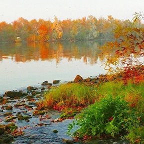 Фотография от Александр С