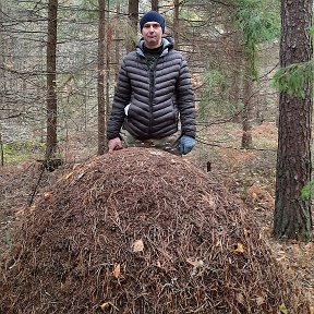 Фотография от Андрей Ганюшкин