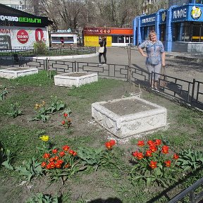 Фотография "практически лето в городе"