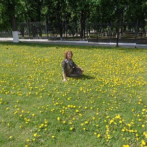 Фотография "г.Владимир. Соборная площадь. На поляне   жёлтеньких цветов."