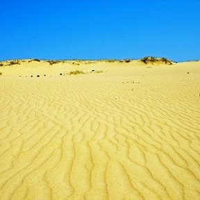 Фотография от Александр Дереча