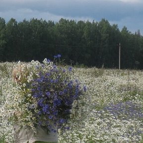 Фотография от Вера Хворова(Жолобова)