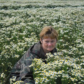 Фотография от Светлана  Тункина