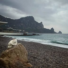 Фотография от Наталья Соловьёва