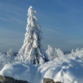 Фотография от Александр Мальцев