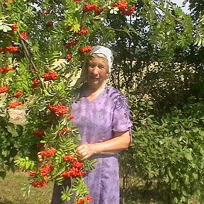 Фотография "Это красавица рябина и Я. Едем с источника."