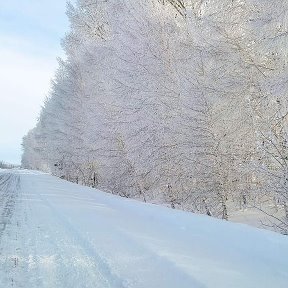 Фотография от Евгений Свистунов