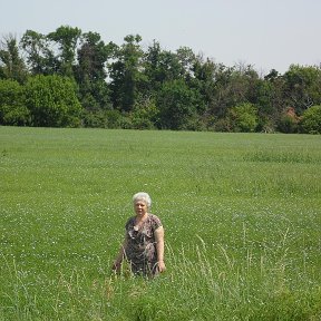 Фотография от Анна Куделина (Маслянко)