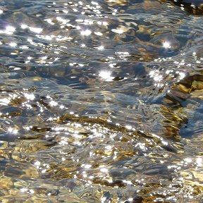 Фотография "Воды реки Нерехта."