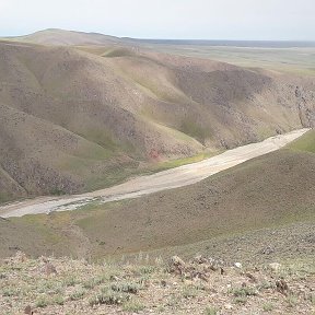 Фотография от navruz boliyev