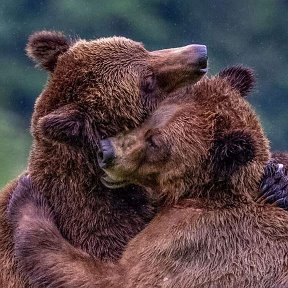 Фотография от Дмитрий Абалаков