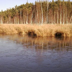 Фотография от Владимир Криворучко