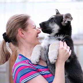 Фотография "Обнимашки перед дорогой 🤗

❤ Звезда Эмира Лайма ❤
2,5 месяца
(АМ Челси Олимп * Голджин Деметра)"