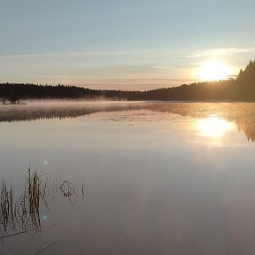 Фотография от вика исаева(Капарулина)