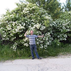 Фотография от Николай Воронин