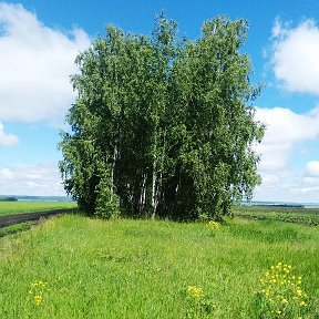 Фотография от Александр Новиков