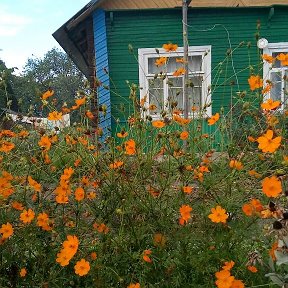 Фотография от Анна Романович ( Богдевич)