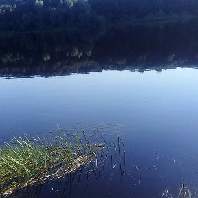 Фотография от Валентина Репикова