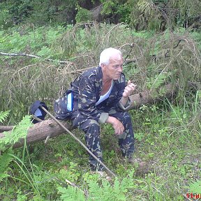 Фотография "А путь и далёк и долог...Тоска по Родине!!!"