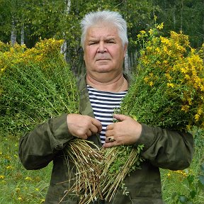 Фотография "НАХАПАЛ  НА  ВСЮ  ЗИМУ"